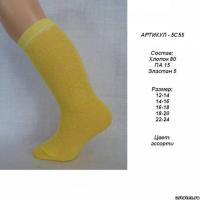 ������ ������� ���� 5�55